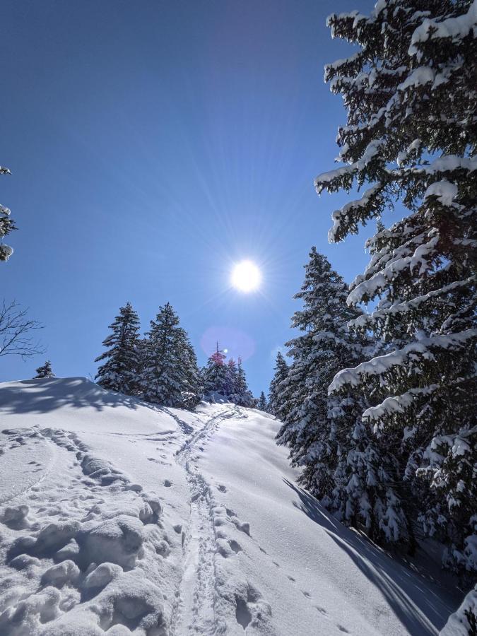 Ferienhaus Vakanz Raggal Exteriér fotografie